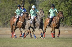 APP下载 LY Sports-世界青少年马术锦标赛在内蒙古开幕，青少年马术比赛限制多大年龄