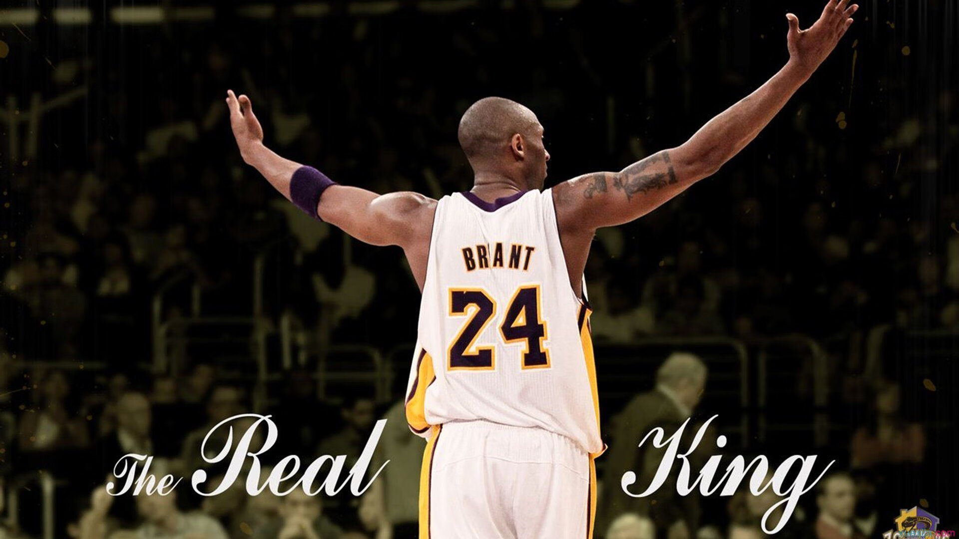 冠军球队社媒运营团队获行业奖项表彰创造性传播案例