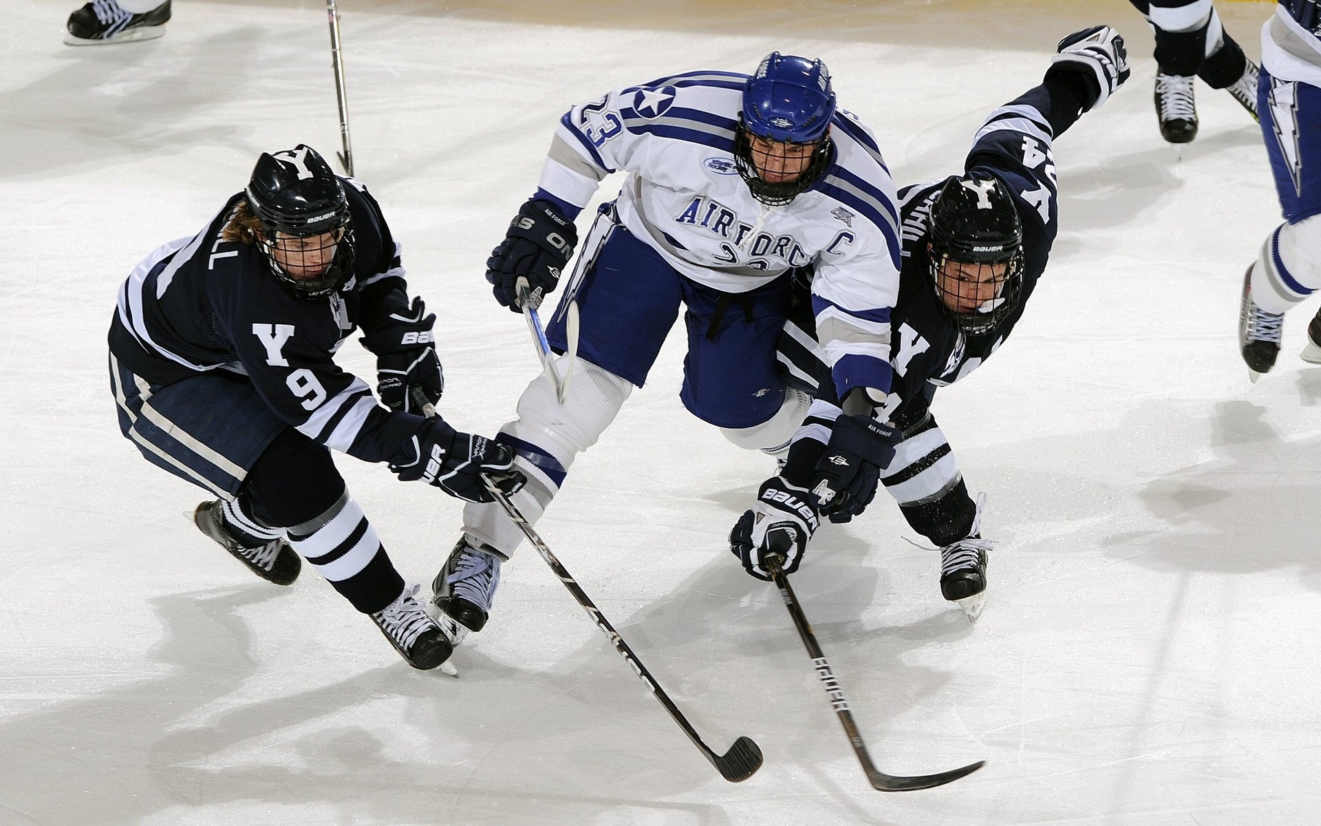 希腊男篮在欧洲锦标赛中折桂，续写辉煌历史